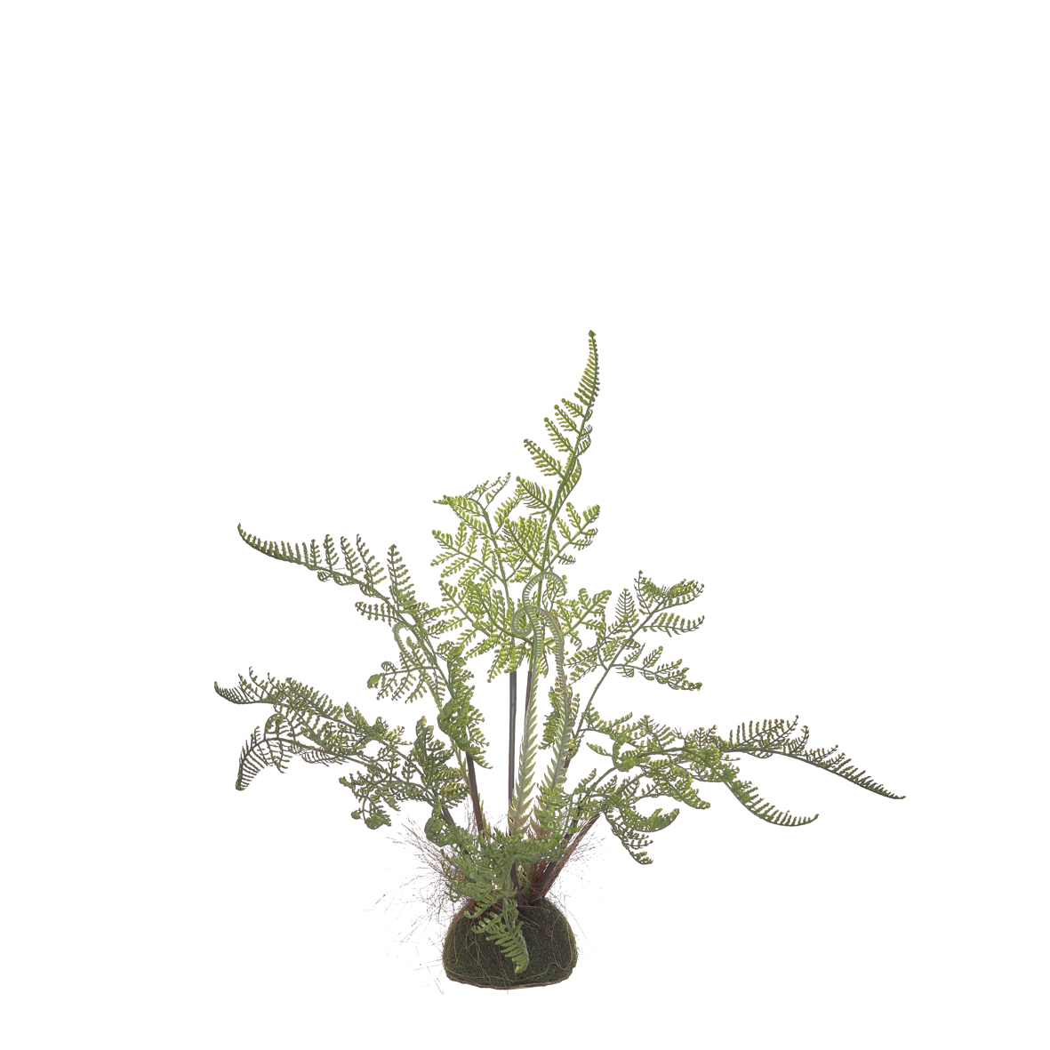 Planta artificial - Feto com base de mus