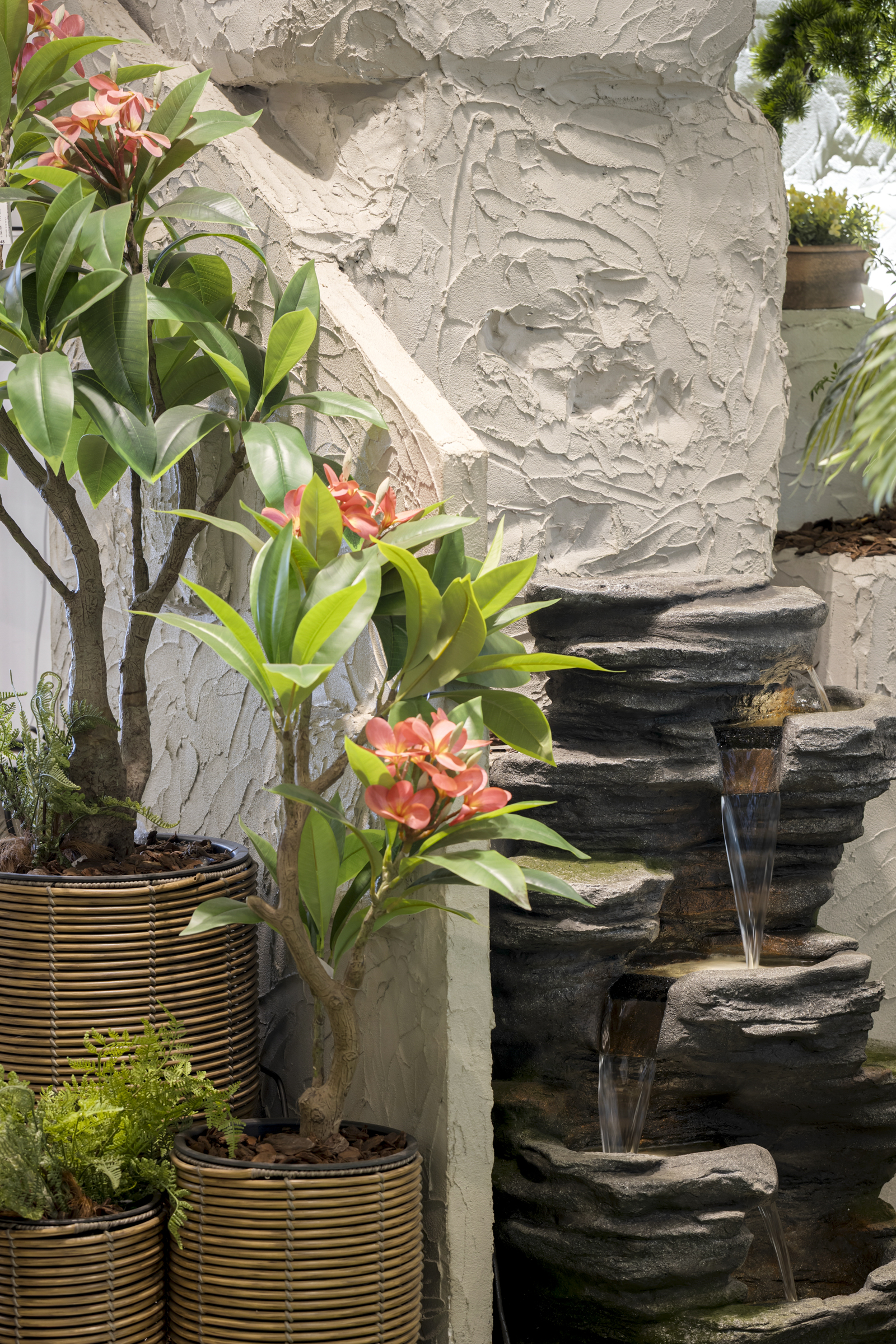 Plantas